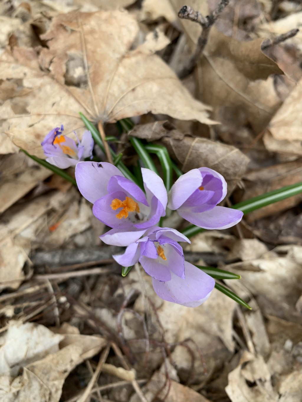 Poetry: [What if I pass by the gate to Heaven and&nbsp;Hell]